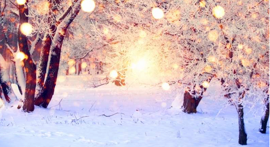 MID YEAR MOOD BOOST! - Melissa Allen Mood Essentials